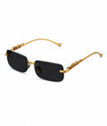 Lion Luxe Frames- Where Power Meets Style